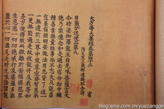 最新大藏經(jīng)，探尋佛教經(jīng)典的全新編纂