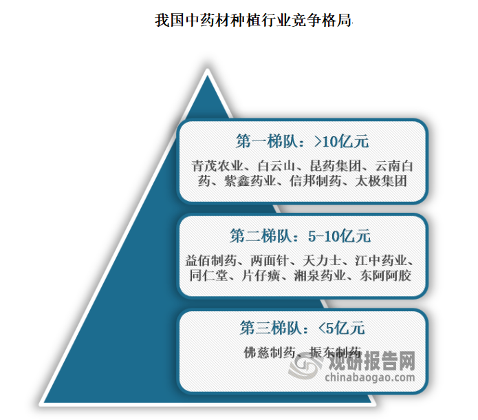 藥材市場最新動態(tài)，趨勢、機遇與挑戰(zhàn)